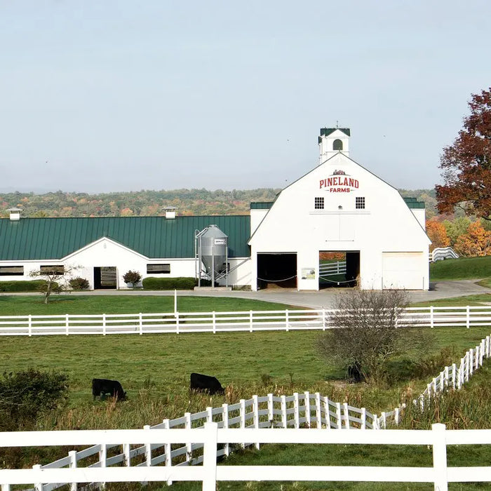 The-Magic-of-Pineland-Farms Rogue Life Maine